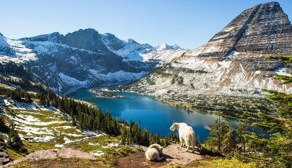 Picture of Glacier National Park