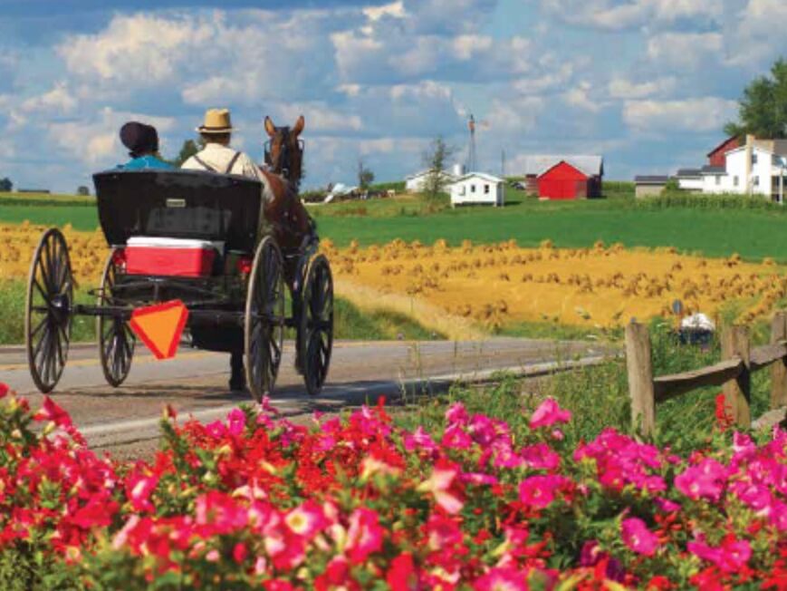 Picture of Amish Country