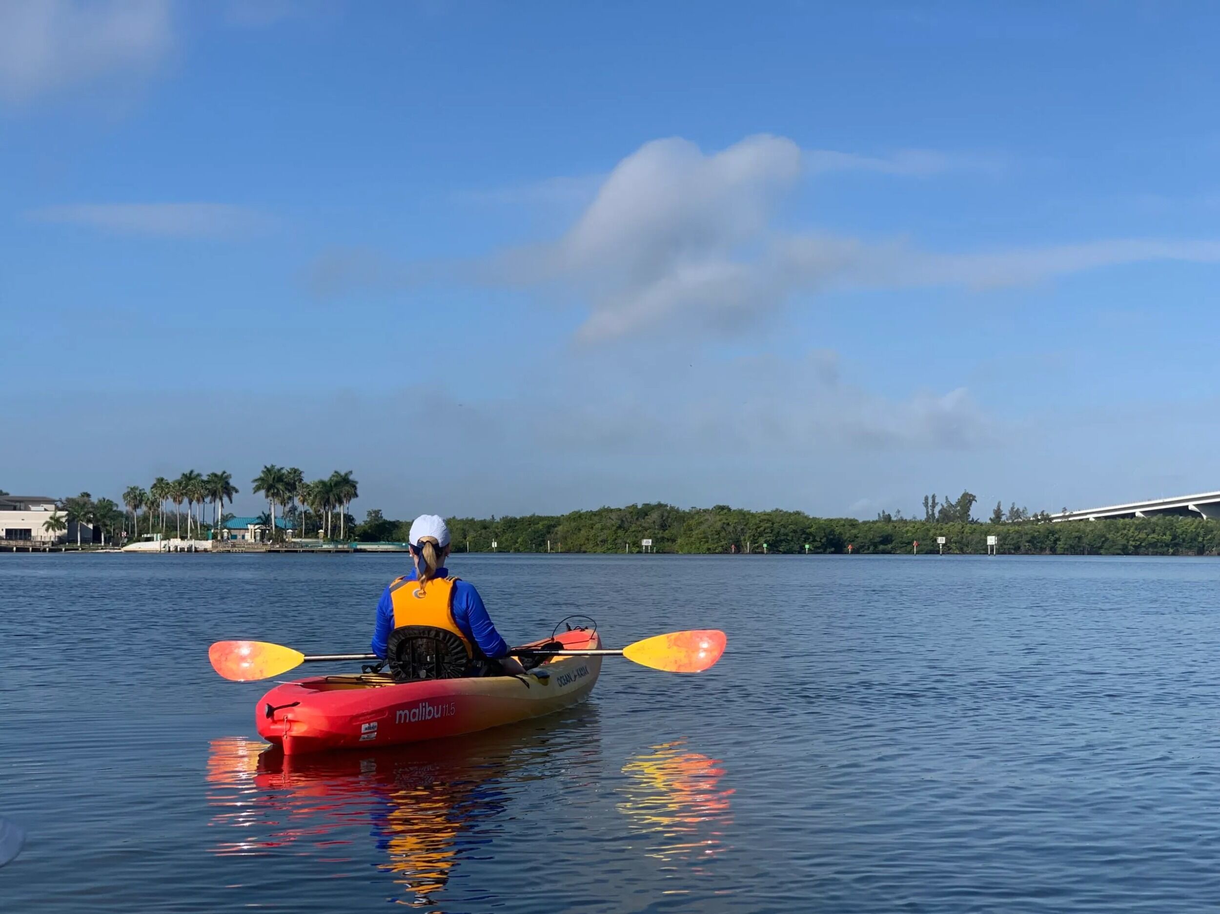 Picture of Paddles By The Sea