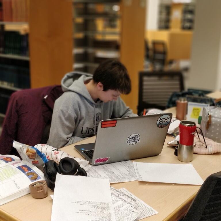 Picture of Study Buddies
