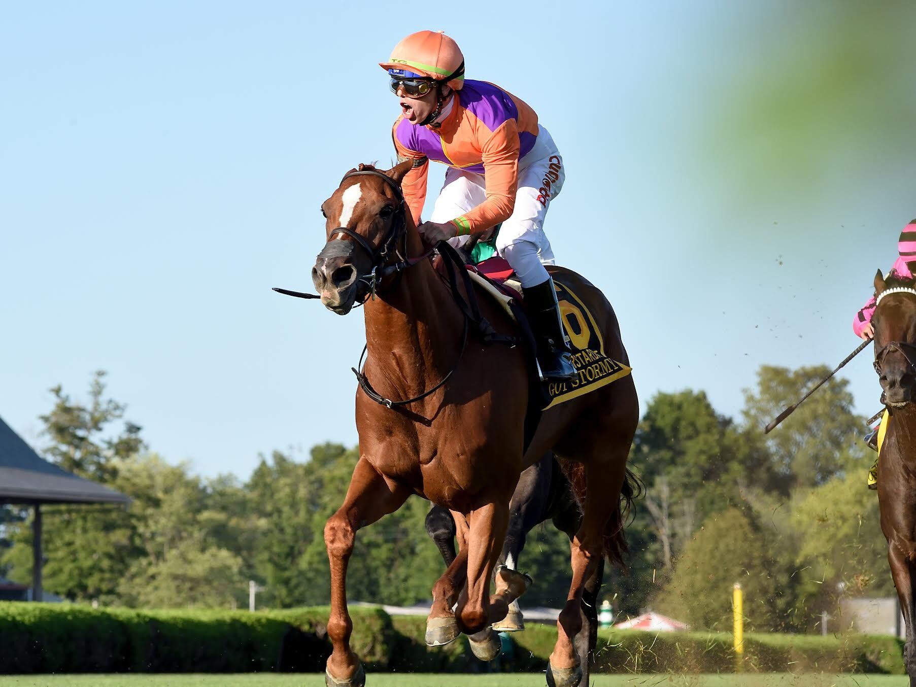Picture of Saratoga Race Course