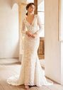 AW Bridal AW Sultana Wedding Dress Mermaid Wedding Dress - thumbnail - 5