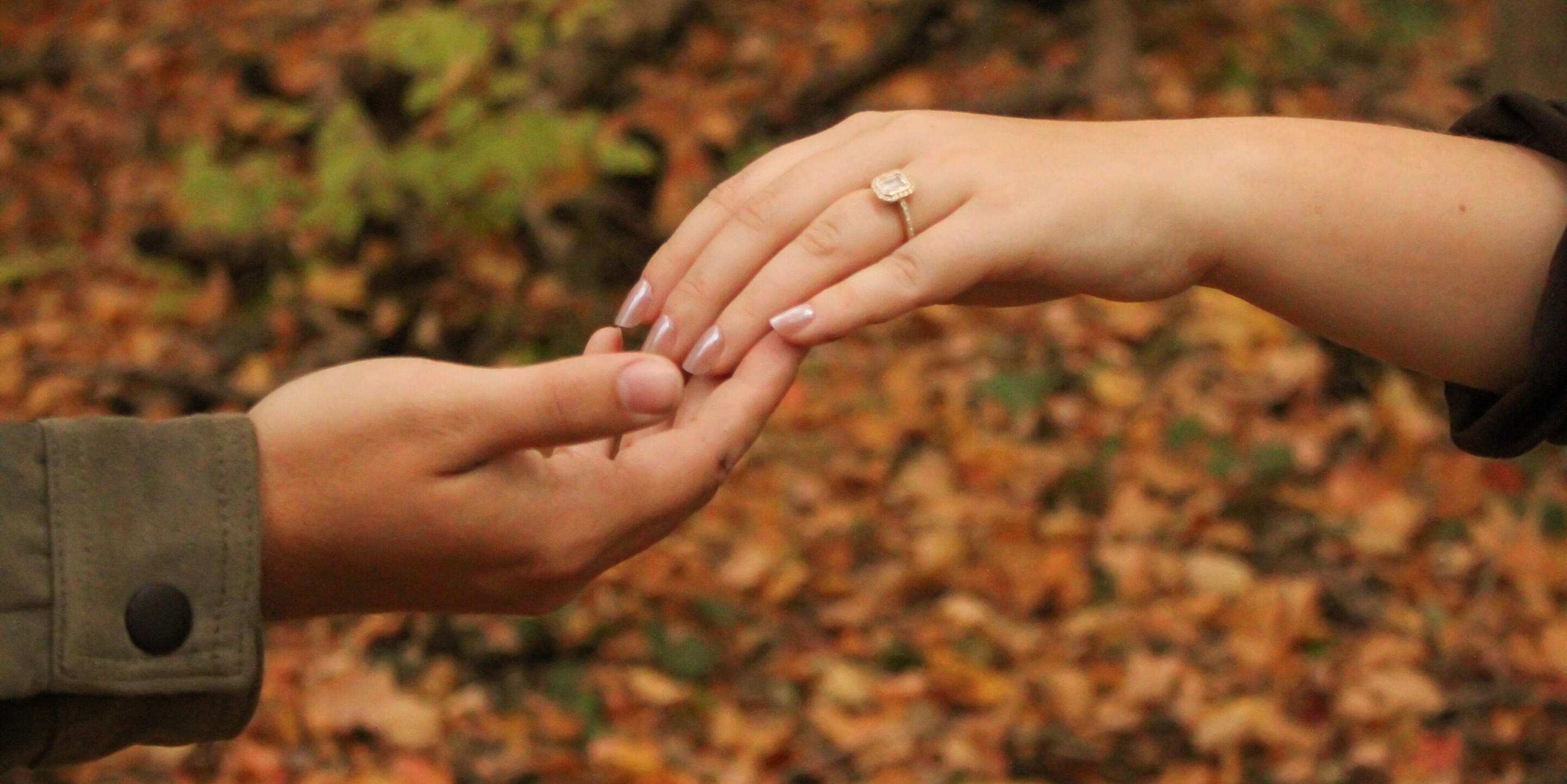 Will & Eden Home Page Banner