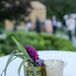 Metal vases filled with candles and bright flowers decorated tall white cocktail tables where guests rested their drinks, including Maine craft beers, as they meandered around the farm.
