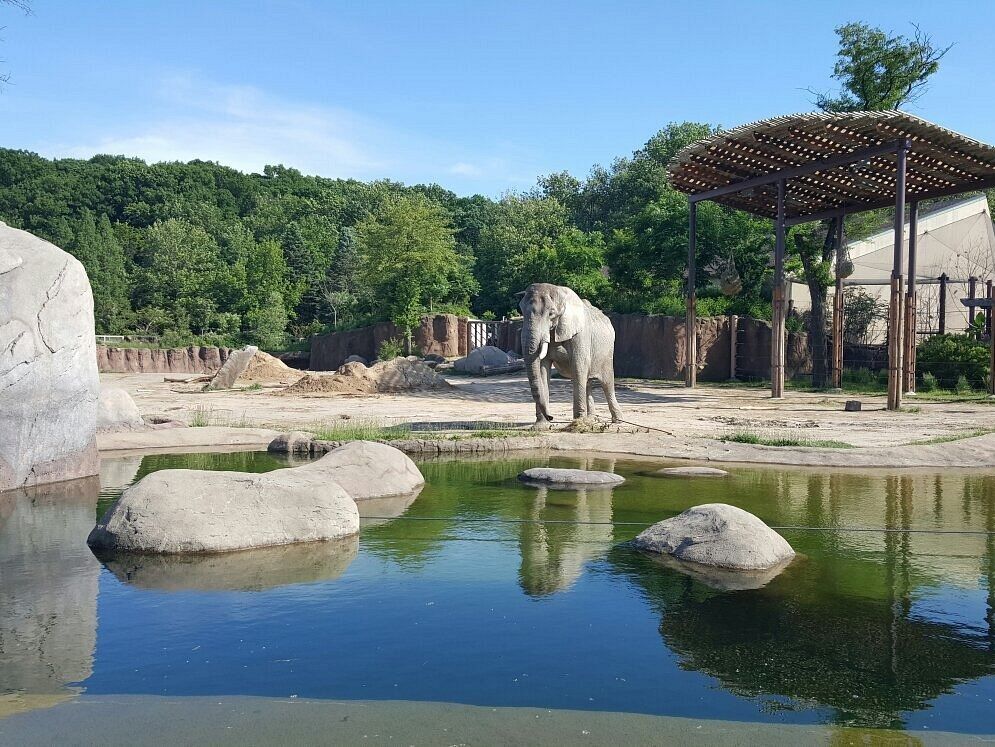 Picture of Cleveland Metroparks Zoo