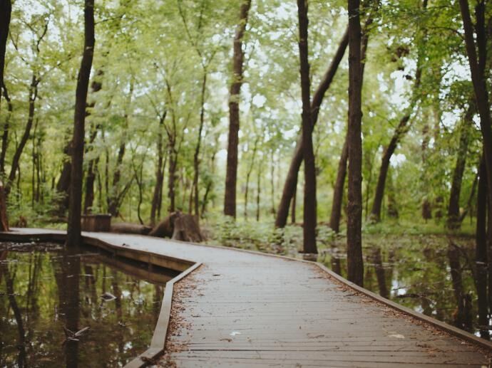 Picture of Ritchey Woods Nature Preserve