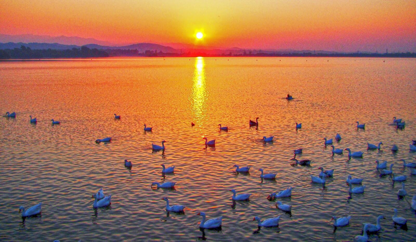 Picture of Sukhna Lake