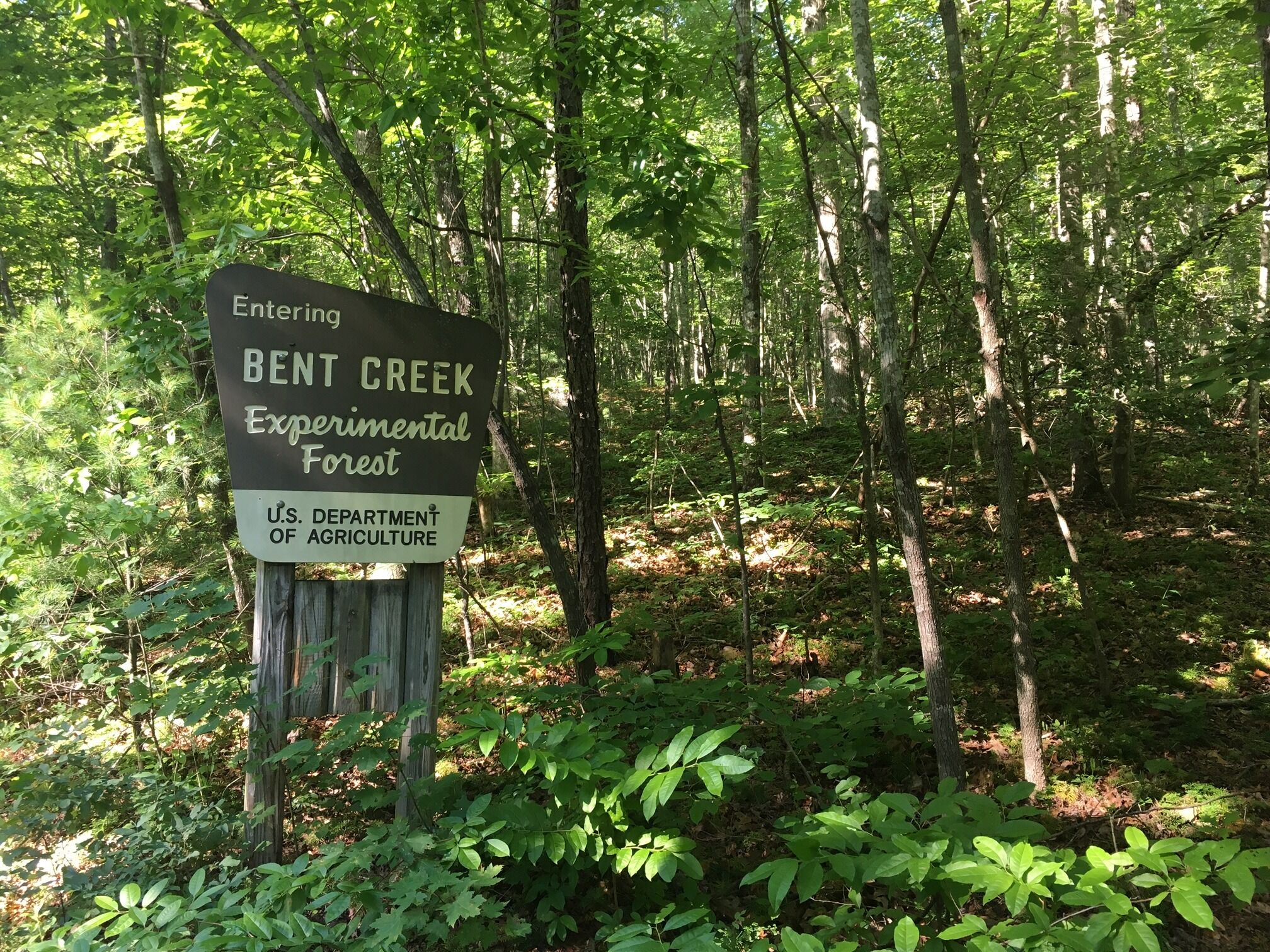 Picture of Bent Creek Experimental Forest (Hard Times Trailhead)