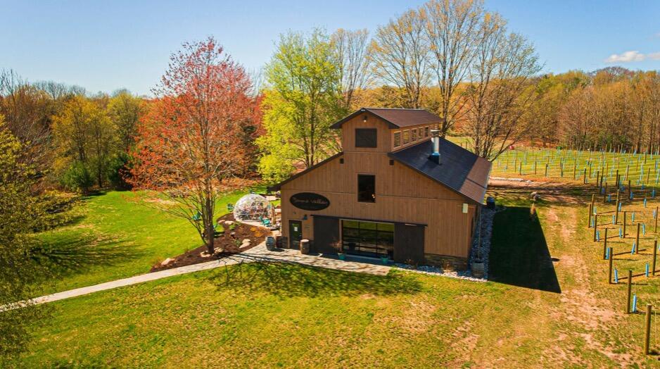 Picture of Boyne Valley Vineyards