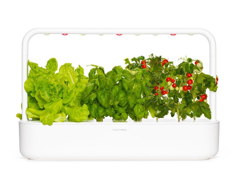 Indoor smart garden from Click & Grow