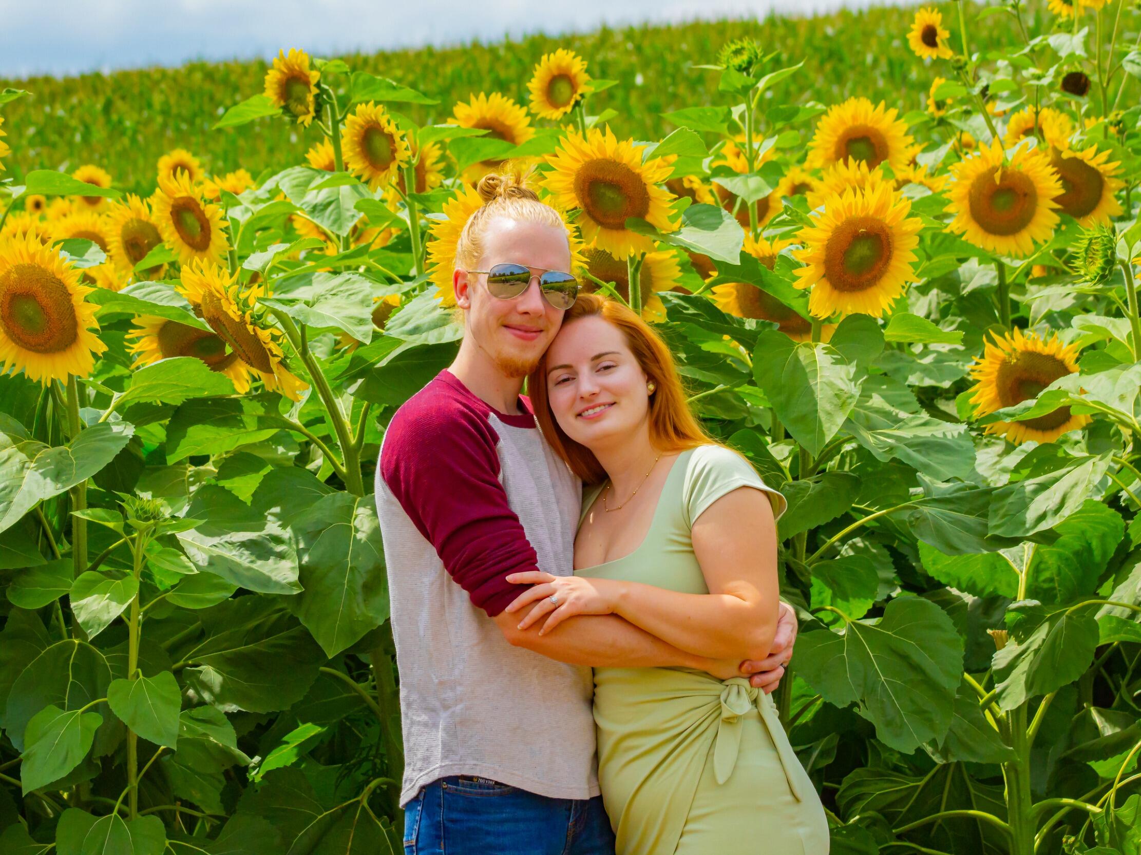 Picture of A Symphony of Love & Sunflowers