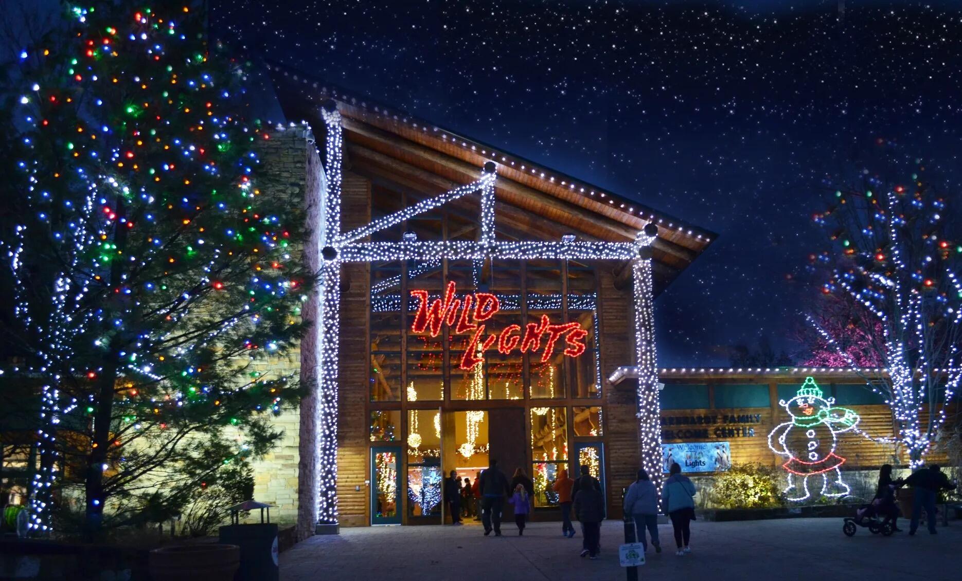 Picture of Akron Zoo Wild Lights