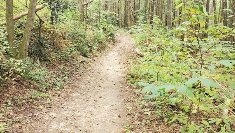 Picture of Aska Trails