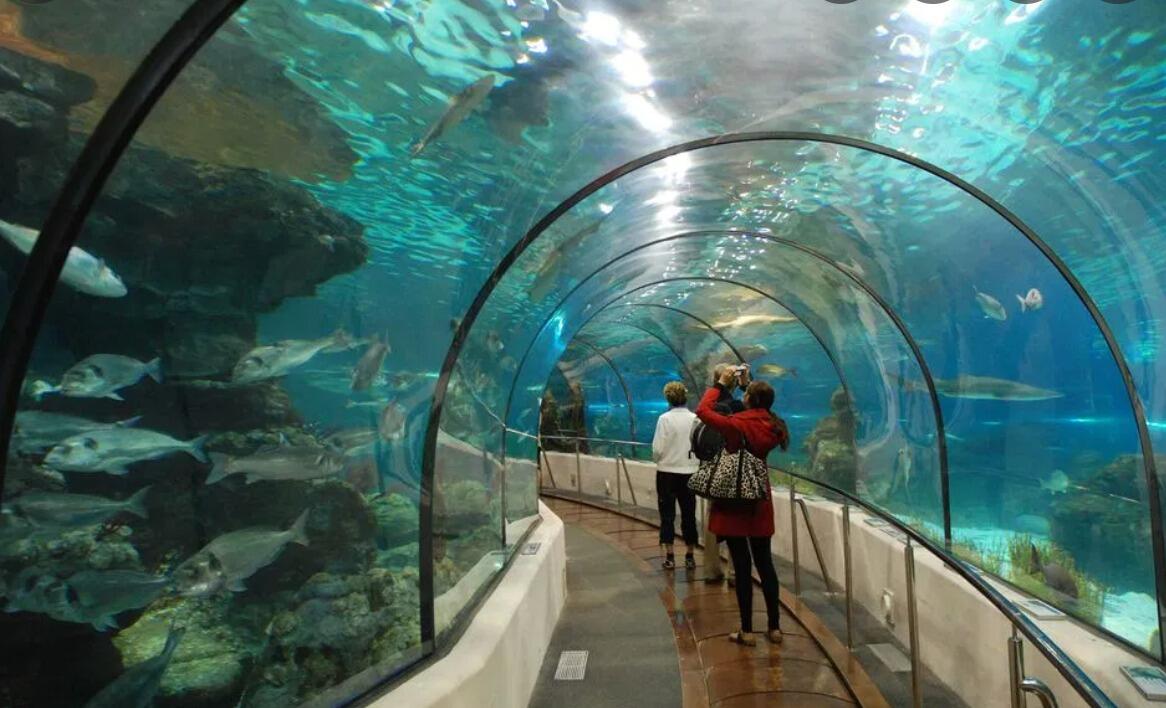 Picture of The Dallas World Aquarium