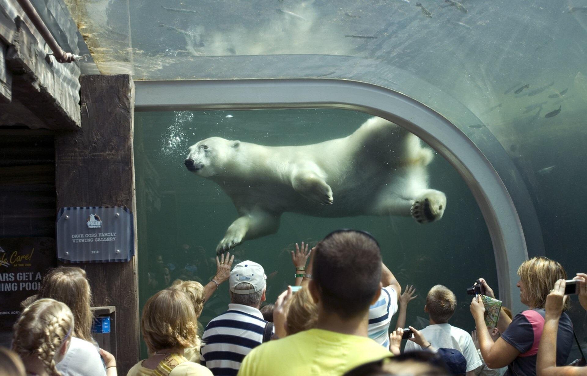 Picture of Columbus Zoo and Aquarium