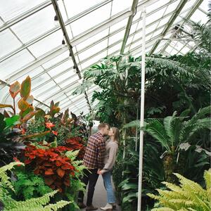 Gallery Photo 4