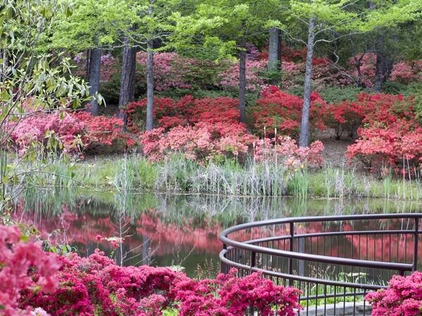 Picture of Callaway Gardens