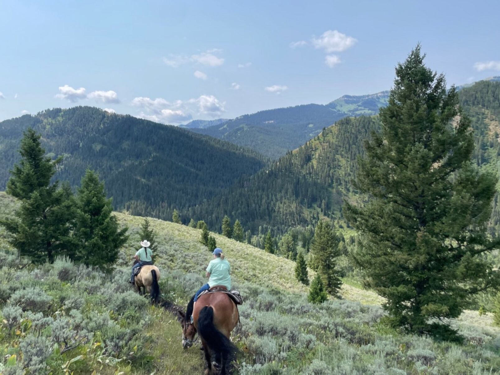 Picture of Horseback Riding in Grand Teton 