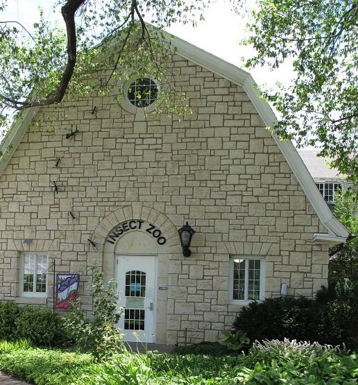 Picture of K- State insect zoo 