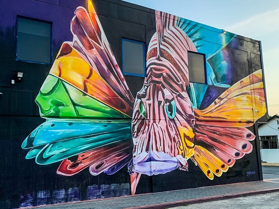 Picture of Street Murals