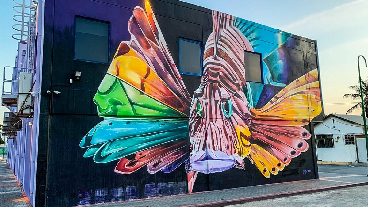 Picture of Street Murals