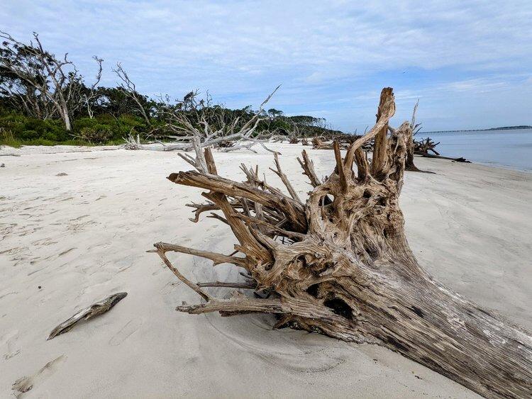 Picture of Little Talbot Island