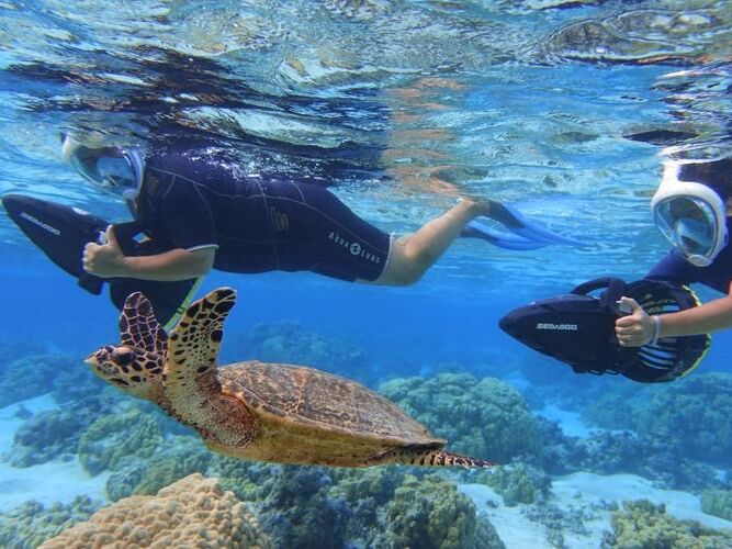 Picture of House Reef