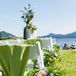Arrangements of rose, fern, paper flowers and lavender hung from the aisle seats at the outdoor ceremony.