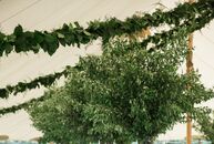 Taylor has two sisters who got married at their childhood home, so when she and Tyler got engaged, she could easily picture an elegant tented receptio