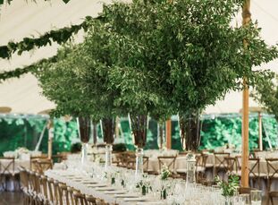 Taylor has two sisters who got married at their childhood home, so when she and Tyler got engaged, she could easily picture an elegant tented receptio