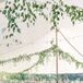 Long Head Table With Low Pastel Centerpieces, Taper Candles Under Tent and Hanging Greenery, String Lights
