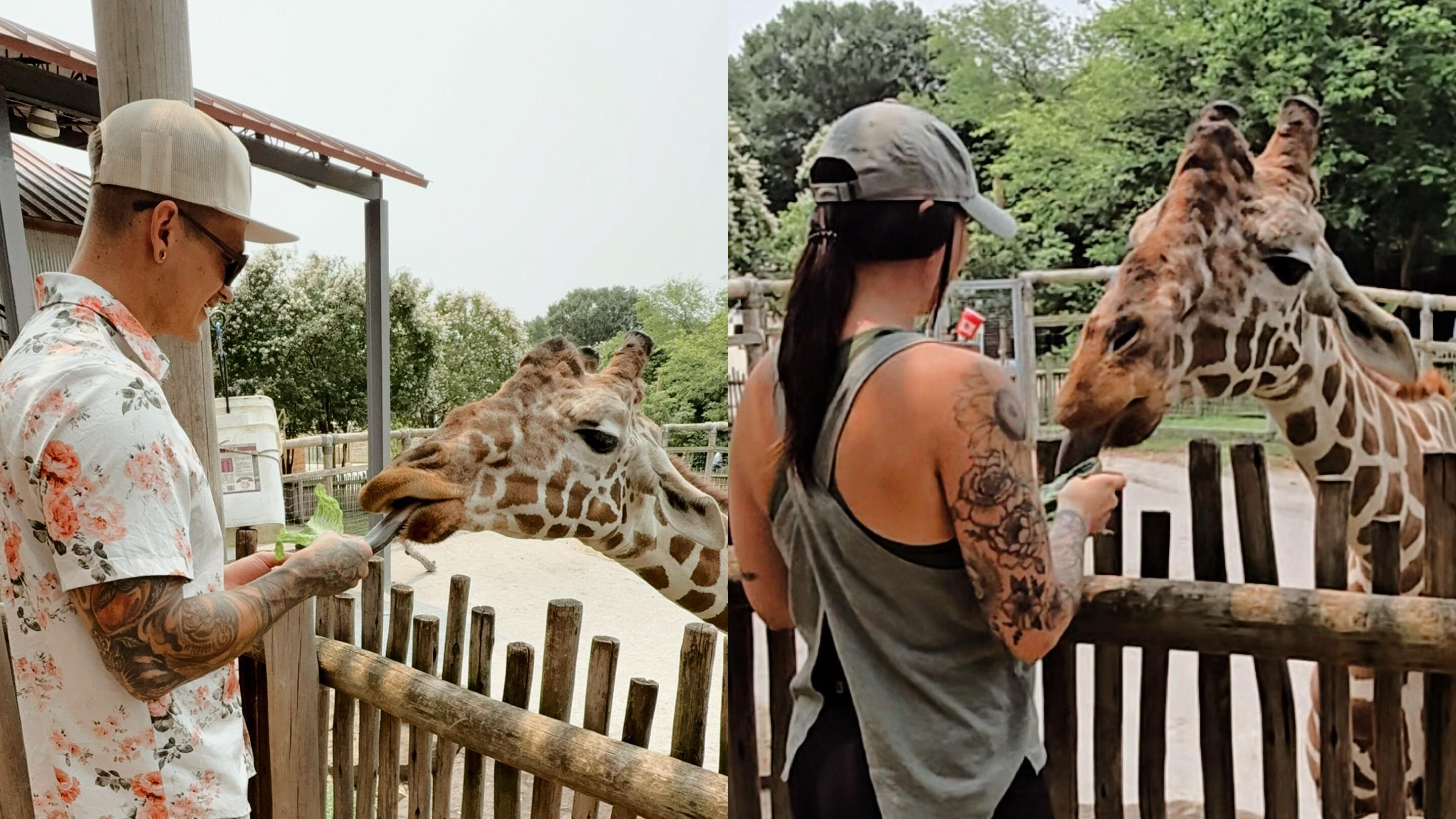 Picture of Chattanooga Zoo
