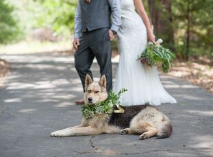 Victoria Kozycz (30 and a jeweler) and David McIntosh’s (30 and in construction) love for the great outdoors took the lead in their intimate ceremony 