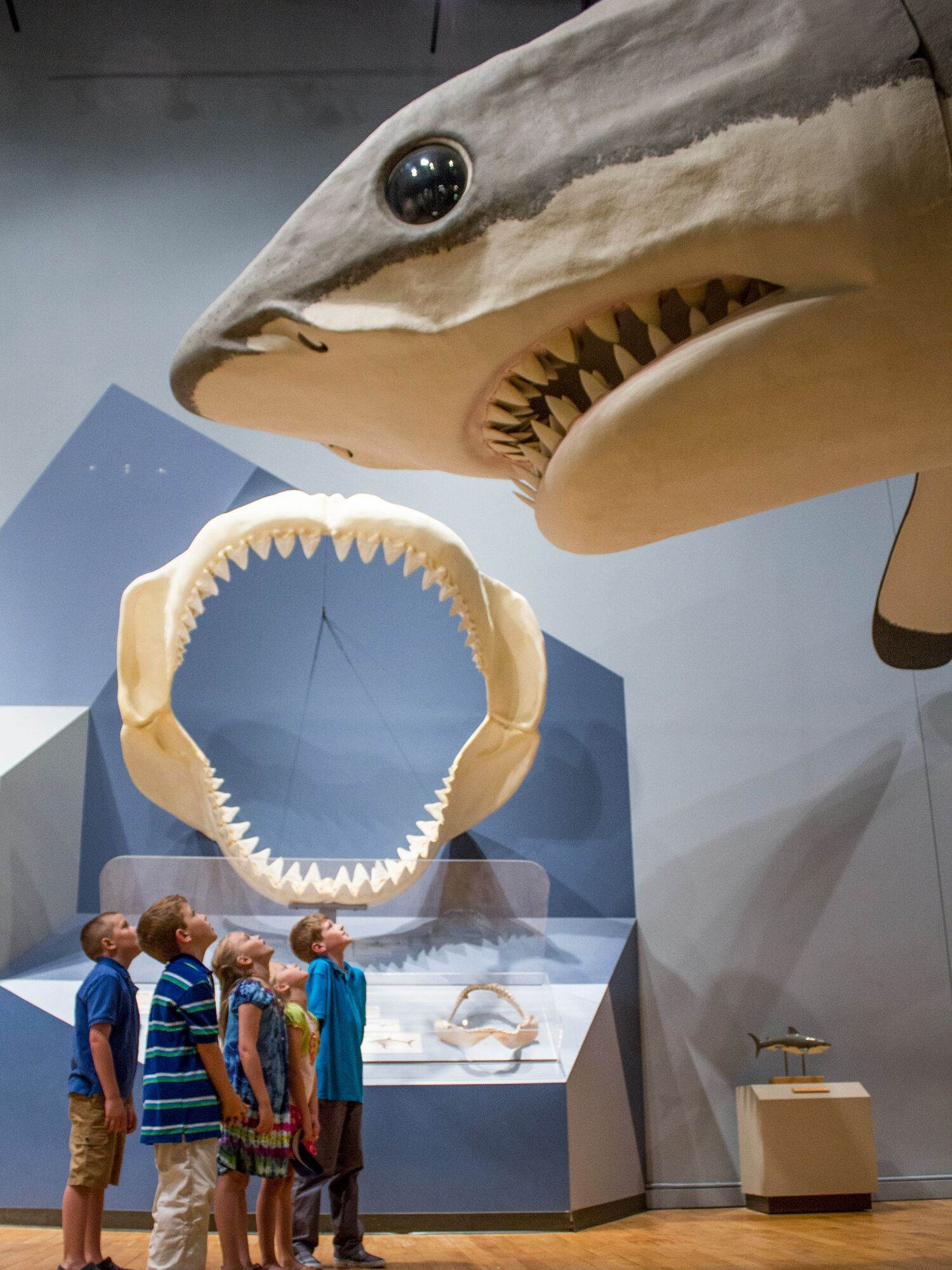 Picture of South Carolina State Museum
