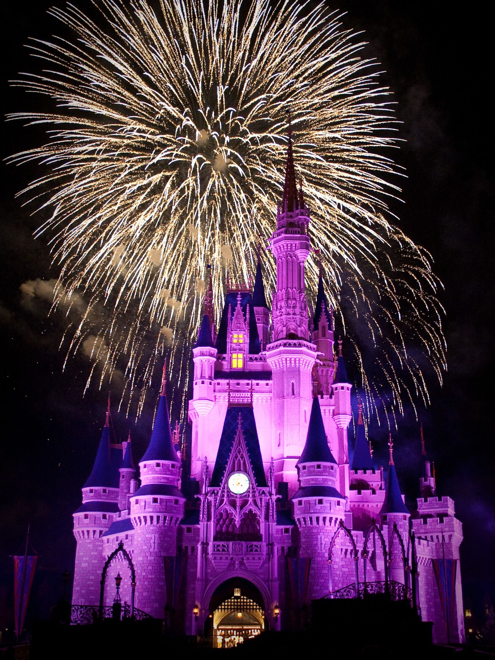 Picture of Walt Disney World