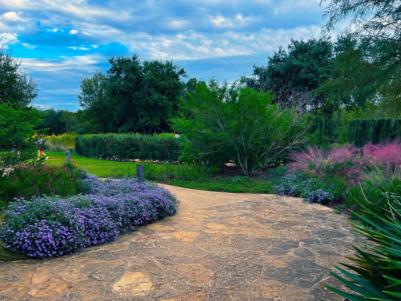 Picture of Lady Bird Johnson Wildflower Center