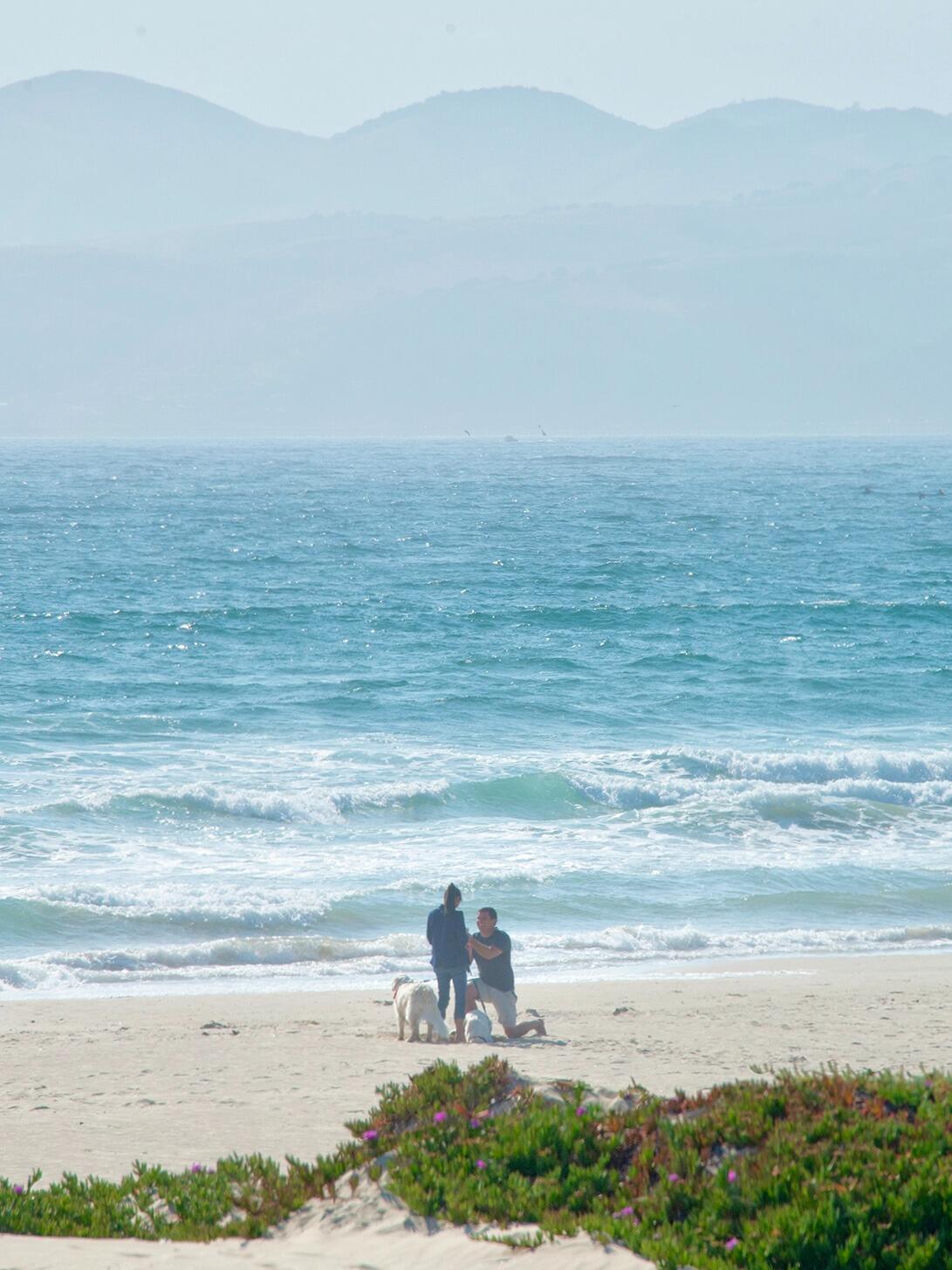 The year opened exactly the way Michelle and Joel loved best: high above the Pacific on the trails of the Pismo Preserve, followed by steaming bowls of their now-sacred New Year’s Day Okinawan soba — fuel for another season of P90X, which they decided to tackle early this year so they could finish before the world brightened again with daylight savings. Even Super Bowl Sunday, spent just the two of them and the pups, felt festive as Michelle whipped up enough appetizers to feed a battalion, which turned out to be winning luck because her Eagles pulled it off! Somewhere between the workout soreness and the victory snacks, the couple also acquired their very first Bitaxe, proudly adding their tiny but mighty contribution to the network.
March arrived with Betty coming to petsit so Joel and Michelle could sneak away for a Santa Barbara escape: buttery lobster rolls at White Caps Beach Club, the history-soaked halls of the Santa Barbara Historical Museum, checking out the Feb’s Fish model at Channel Islands Surf Shop, and NAs in the Funk Zone with Jenna. They ended the night in their bliss zone — tucked into the glowing Arlington Theater — listening to Jason Isbell play a stripped-down, intimate acoustic set. The next morning they enjoyed coffee with Joel’s past roommate Chase (and Kaia’s best dog friend, Andy), then devoured life-changing pizza at Bettina before heading home. The following weekend they dropped the dogs with Pam and ran off to the Bay, promptly eating the best Hawaiian pizza of their lives at June’s in Oakland before a full day in San Francisco: strolling through the Ferry Building, enjoying the scent of tulips and sourdough at Pier 39, then watching the Sail Grand Prix with Alcatraz as the backdrop, fried sushi in Union Square, and singing their lungs out to RX Bandits live at August Hall. They returned home refreshed — and also permanently banned from bringing Daisy and June to Nana Pam’s after the girls ripped off the screen door and excavated the entire backyard.
Spring rolled in with a huge, lively Easter brunch with both families at Pam’s. In May, the couple started biking the shoreline from the Oceano Dunes to the Pismo Caves, Daisy and June sprinting beside them like joyful, sand-covered missiles. Coastal hikes, beach days, and long sunset walks filled the warm months while Joel quietly worked behind the scenes — reaching out to both families, choosing the right day, imagining how it would feel. He knew one thing for sure: it had to be on the beach, with the dogs, and with everyone ready to celebrate after.
July arrived with gourmet pizza at Bear + The Wren for Lauren’s birthday, Fourth of July festivities at the Pismo Pier, and a casual suggestion from Joel that maybe — just maybe — they should take “real” family photos with the GoPro sometime instead of their usual iphone selfies. They grilled bacon-wrapped-linguica-stuffed-cheesy-peppers, then staked out their favorite spot on the dunes for fireworks at a dog-friendly distance.
And then came July 5th. It started like any other summer evening. Michelle got off work, they did their weekly grocery run, then leashed up Daisy and June for an afternoon beach walk — Joel casually tossing the GoPro into his backpack, acting like it was no big deal.
They reached the shoreline and set up the camera for “family photos.” Michelle leaned in, smiling, unaware. Joel pulled her a little closer, and Michelle felt him shaking — just slightly — in that way that only happens when something is about to change your life.
He told her all the reasons that she means the world to him, why he wants to tackle life by her side and support her endeavors forever.  Then he dropped to one knee. The ring box opened. The world stopped.
Michelle burst into happy tears nodding yes. Daisy and June, deeply committed to the moment, enthusiastically digging sand up around them. Joel had written his proposal on paper and tucked it into a glass bottle; together they scooped sand inside as a forever keepsake.
Walking home, hand in hand, freshly engaged, Michelle thought the surprises were over. They weren’t. As soon as Joel opened the back door, the yard lit up — string lights, decorations, photos, glowing faces. Both families, waiting. Someone was holding Palo Mesa pizzas (the poor delivery driver had to wait as he literally just arrived as Joel and Michelle walked in). Bottles of NA champagne were ready to pop. Everyone cheered, hugged, cried, and celebrated under the warm Grover Beach evening sky. It was perfect. It was unforgettable. It was them. Though this story already reads like a full novel, this decade together has passed in the blink of an eye for Michelle and Joel. They’ll continue to write their love story forever and look forward to celebrating the next chapter of Marriage in 2026! 