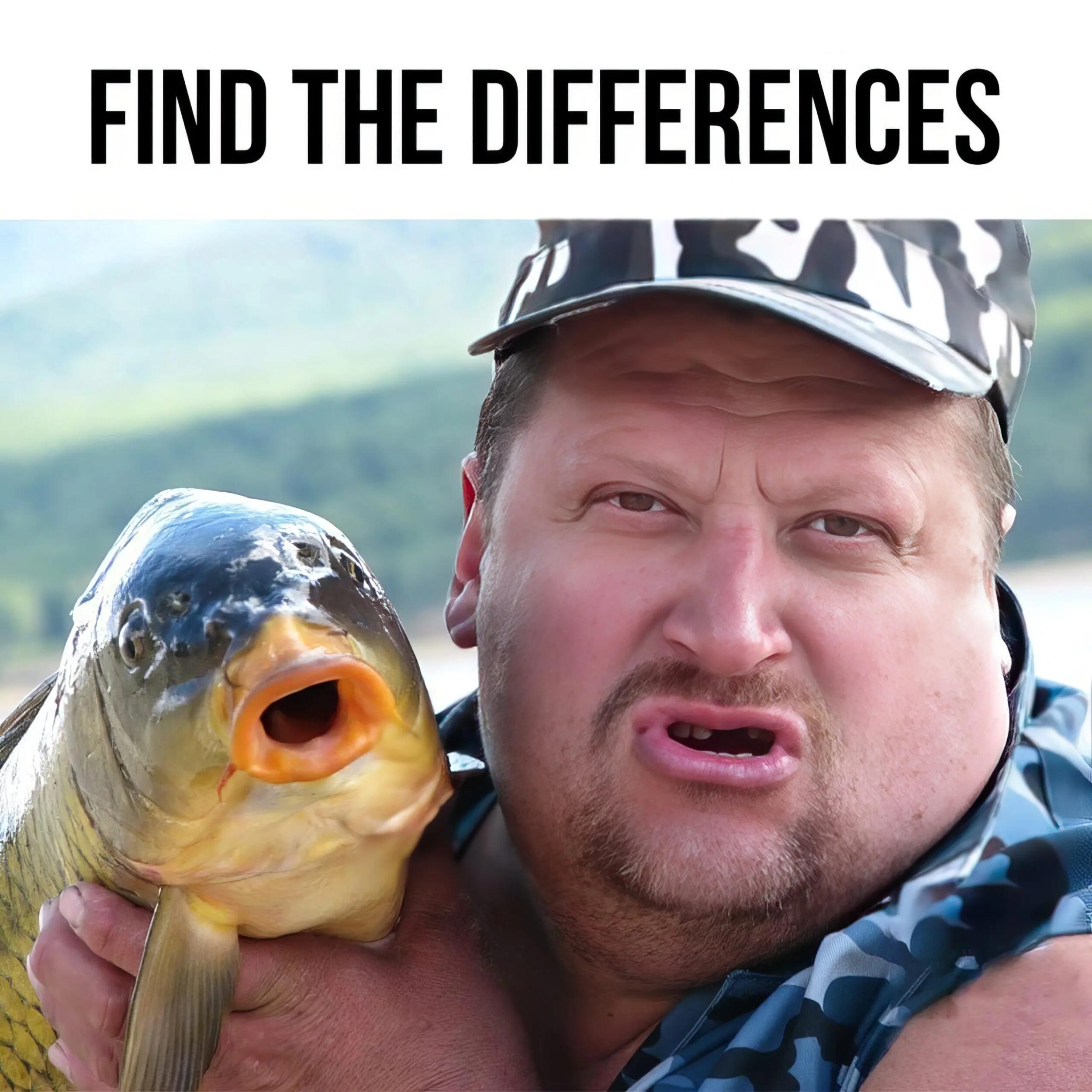 Picture of Fish