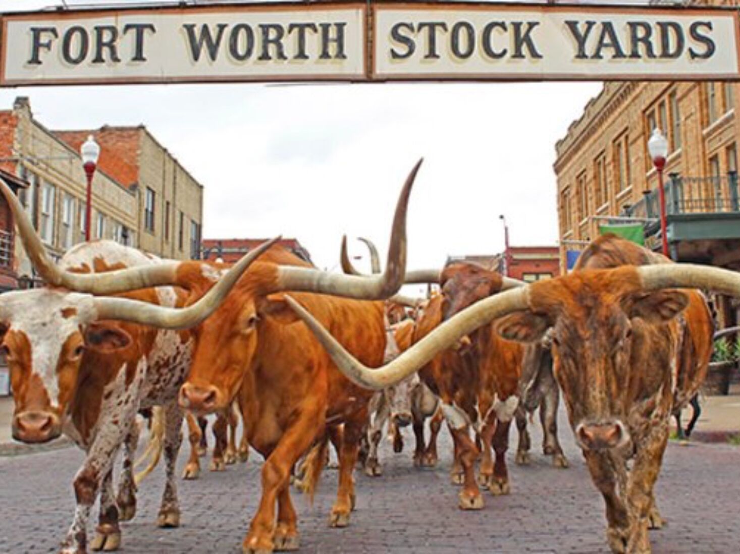 Picture of Fort Worth Stockyards