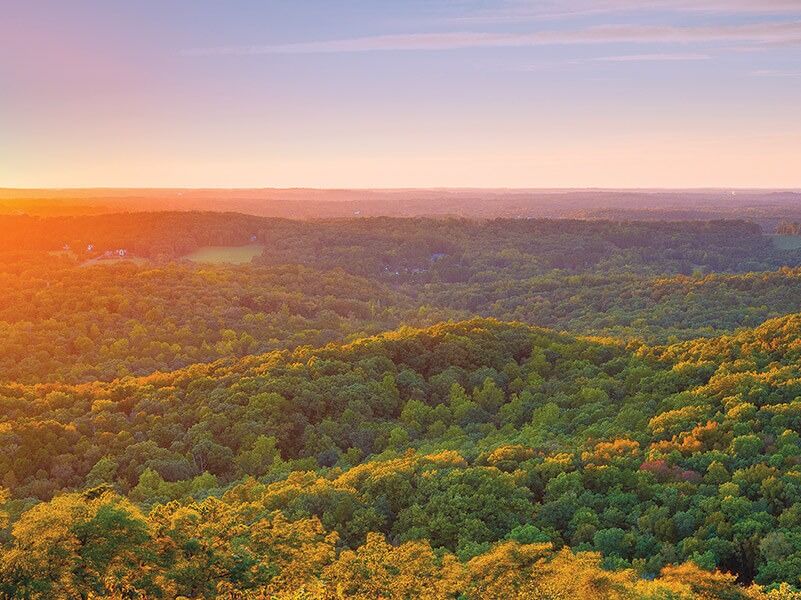 Picture of Morrow Mountain State Park
