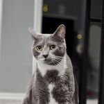 Trixie