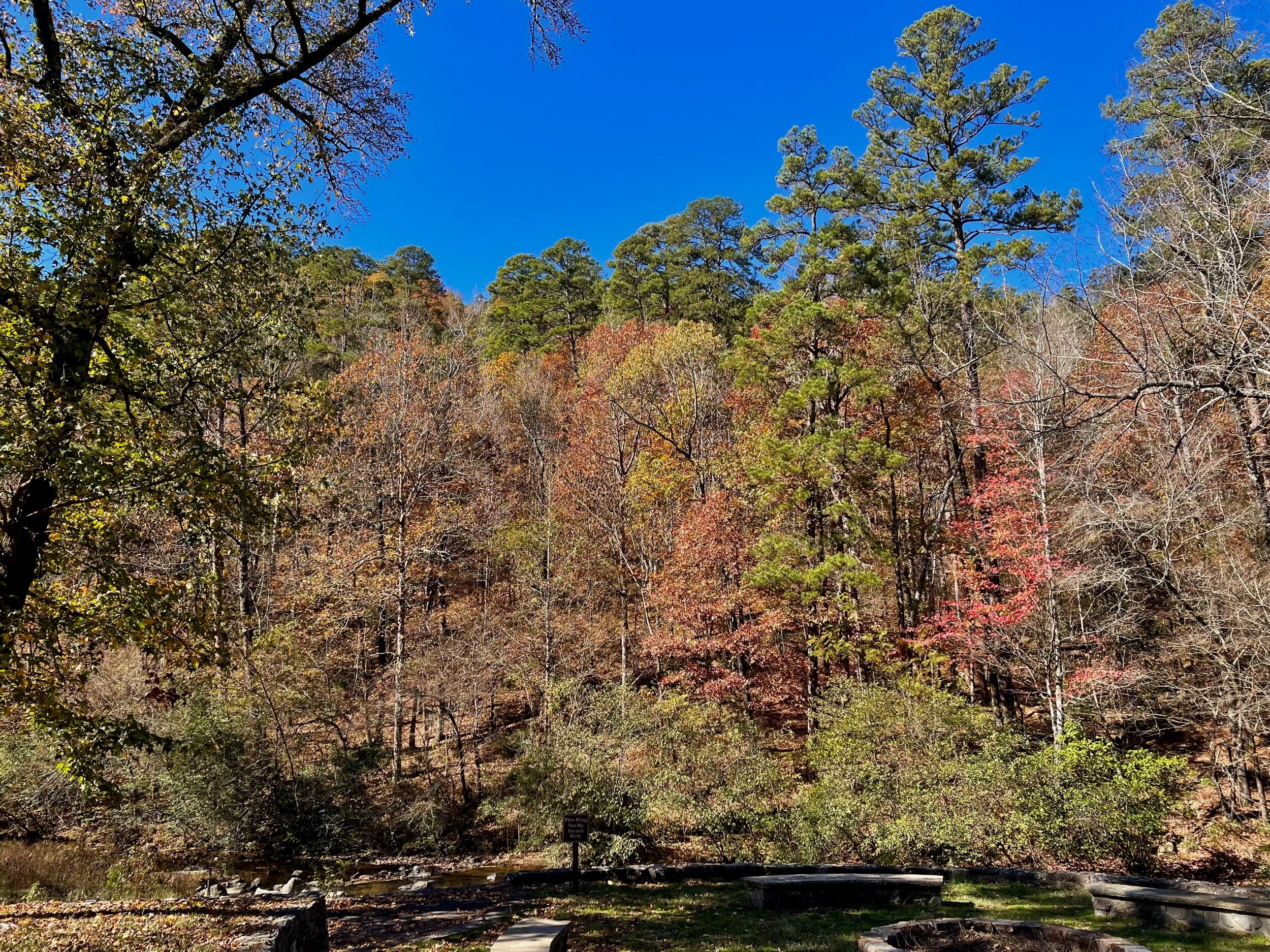 Picture of More Nature Fun!