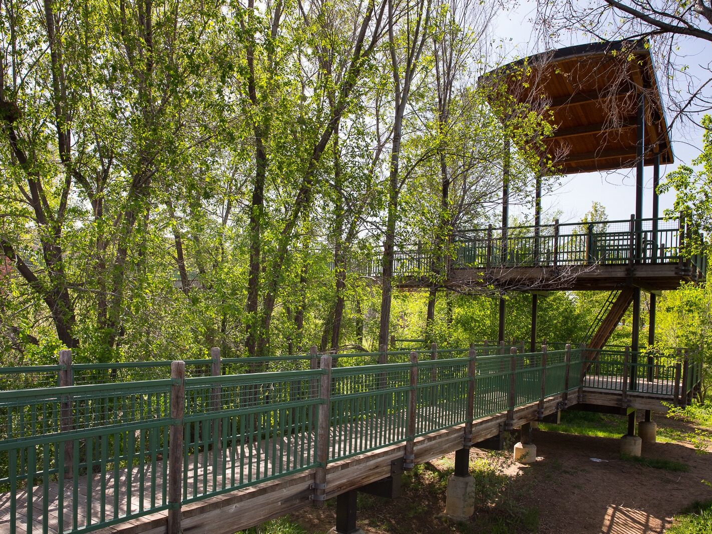 Picture of Westlands Park