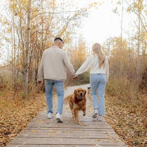 Gallery Photo 46