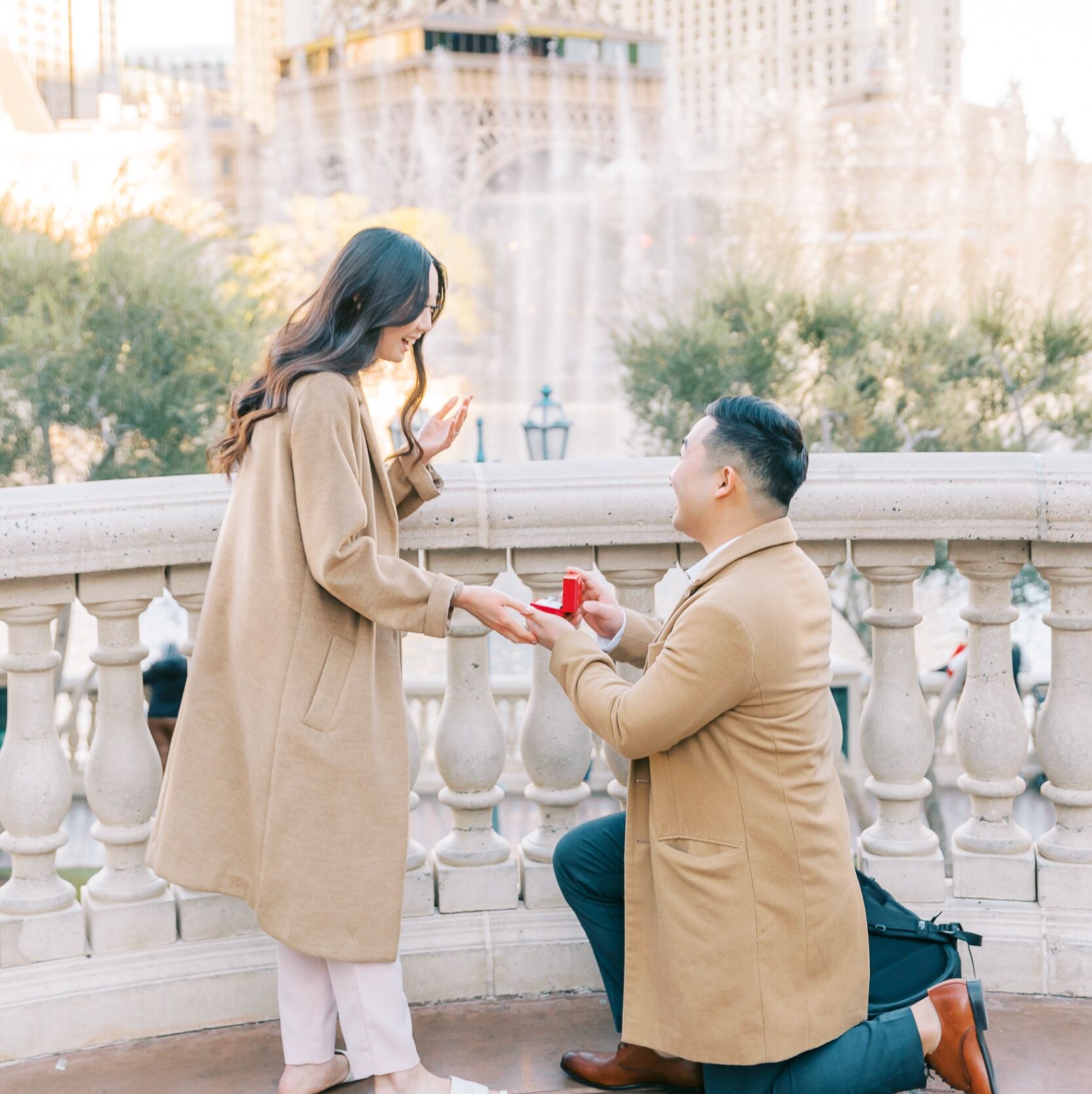Picture of The Proposal 
