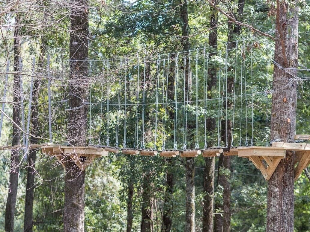 Picture of Magnolia Ridge Adventure Park