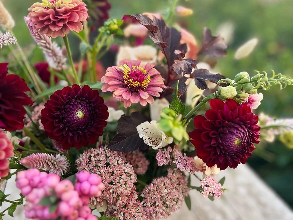 Picture of Holland Flower Farm