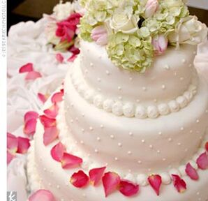 The Cake