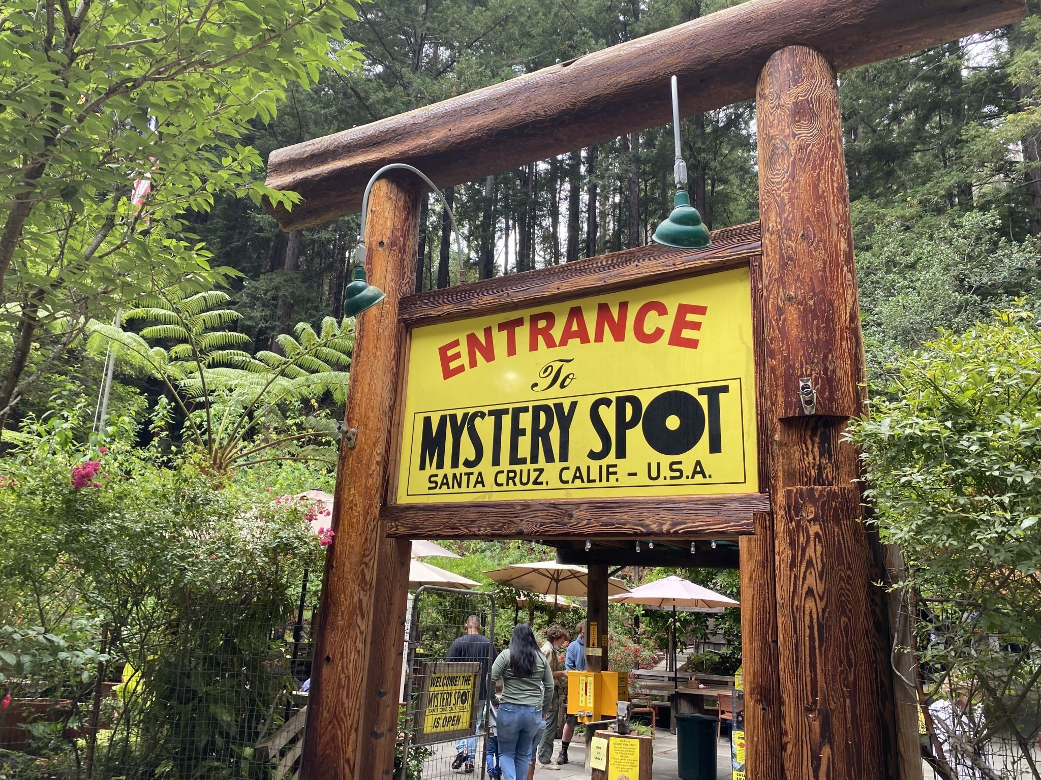 Picture of The Mystery Spot