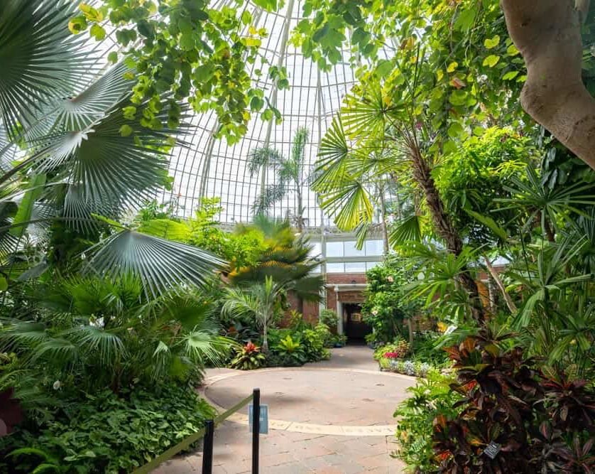 Picture of Buffalo and Erie County Botanical Gardens